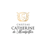 chateau-montgolfier